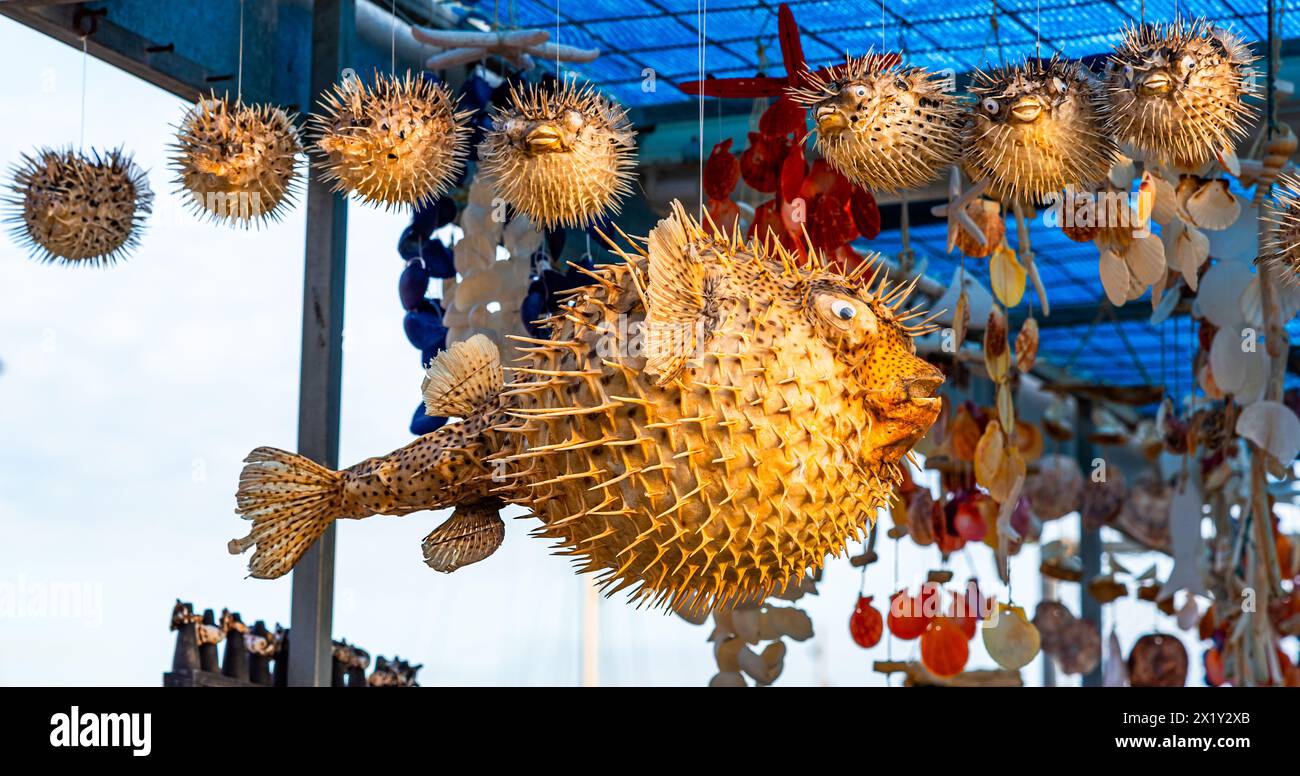 Antico porto veneziano di Chania, Creta, Grecia: Pesce paffuto essiccato venduto come istrinefish souveneir, conosciuto anche come il pezzetto lentigginato Foto Stock