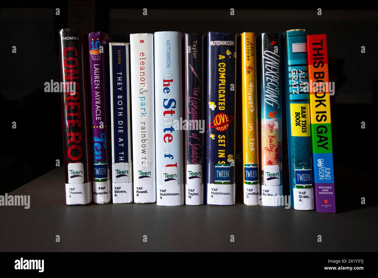 Una raccolta di libri destinati a temi LGBTQ+ di BookLooks, un'organizzazione di valutazione dei libri fondata da Moms for Liberty. Libri su questo elenco regolarmente fa Foto Stock