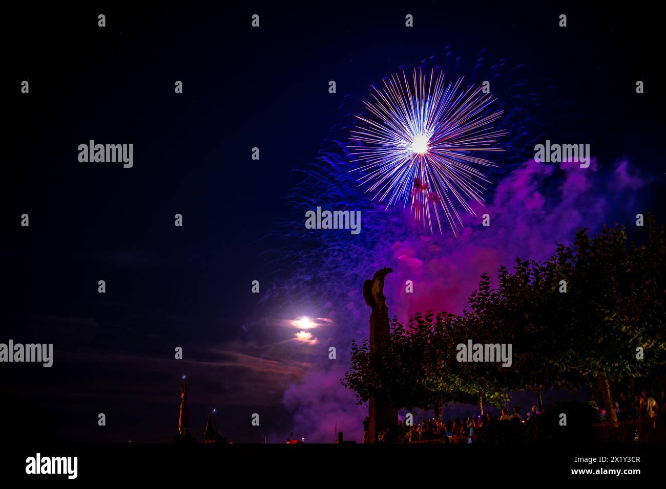 Splendidi fuochi d'artificio al festival delle luci di lago a Bodensee. Costanza, Baden-Württemberg, Germania. Foto Stock