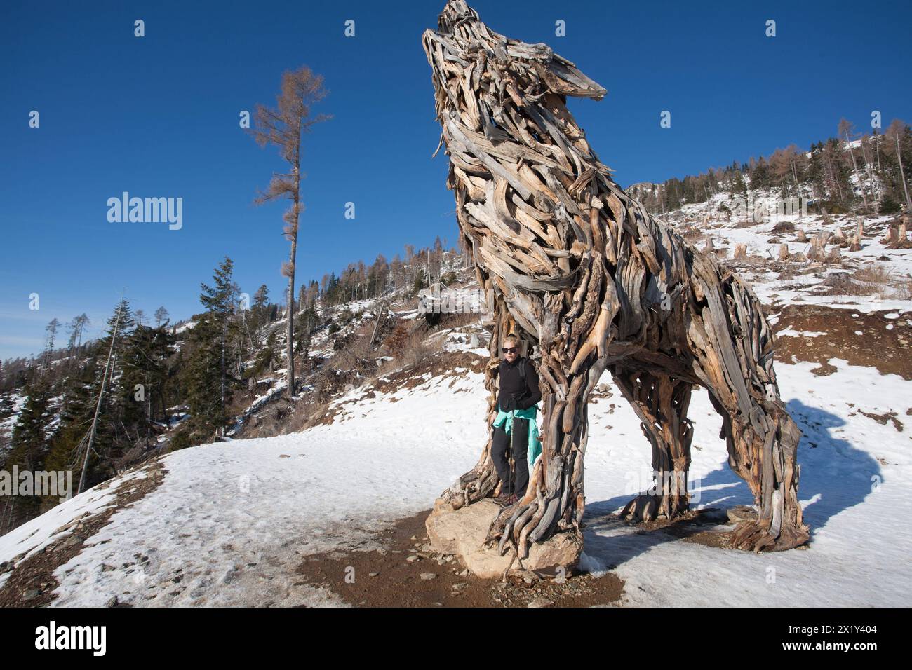 Scultura in legno di un lupo fatto di rami d'albero. Vaia tempesta lupo Foto Stock