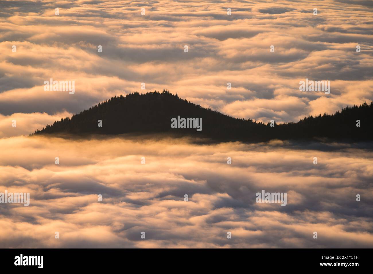 Nebbia sulla pianura del Reno, Foresta Nera, Baden-Württemberg, Germania Foto Stock