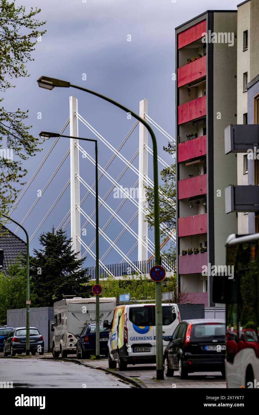 Die neue Rheinbrücke Neuenkamp, der A40, weiße Pfeiler Seile, und die alte Autobahnbrücke, die im Rückbau ist, Wohngebäude im Stadtteil Neuenkamp, Duisburg, NRW, Deutschland, Autobahnbrücke Neuenkamp *** il nuovo ponte sul Reno Neuenkamp, la A40, le funi bianche e il vecchio ponte autostradale, in fase di smantellamento, edificio residenziale nel distretto di Neuenkamp, Duisburg, NRW, Germania, ponte autostradale Neuenkamp Foto Stock