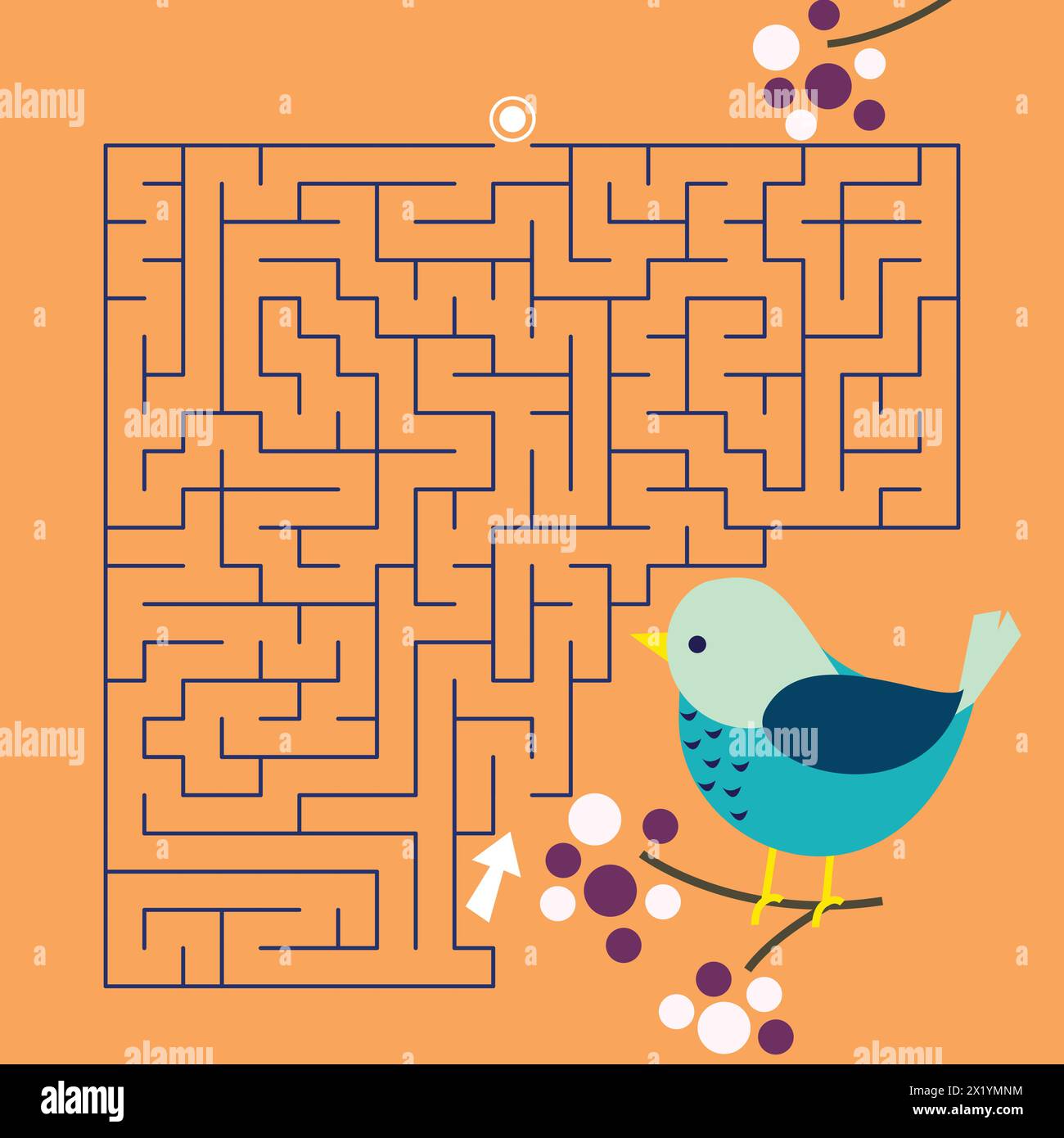 Illustrazione vettoriale uccello labirinto gioco labirinto. Puzzle colorato per bambini Illustrazione Vettoriale