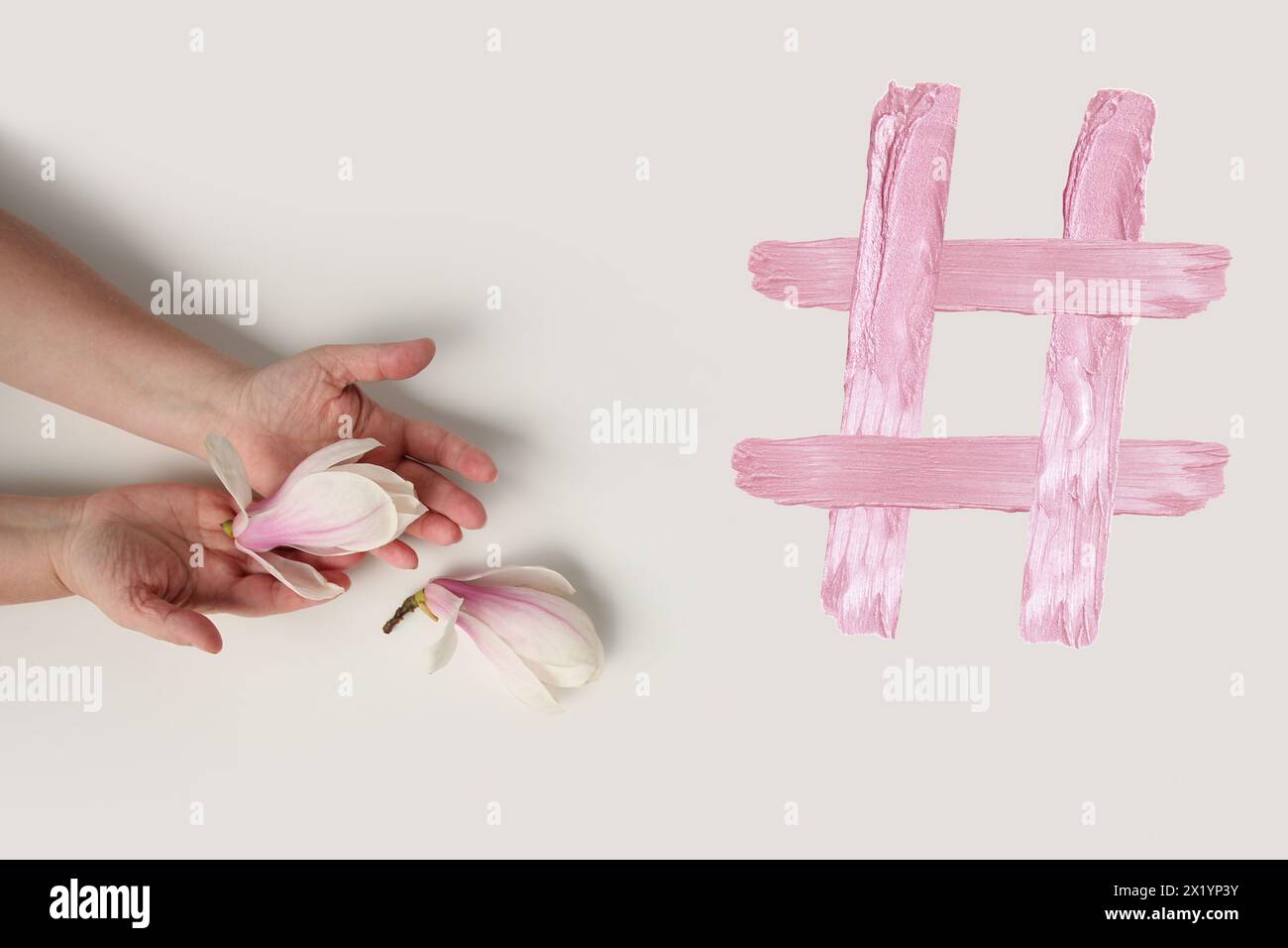 primo piano della mano della donna su sfondo chiaro, boccioli di fiori primaverili, magnolia rosa, concetto di risveglio della natura, aroma di piante, hash tag cos Foto Stock