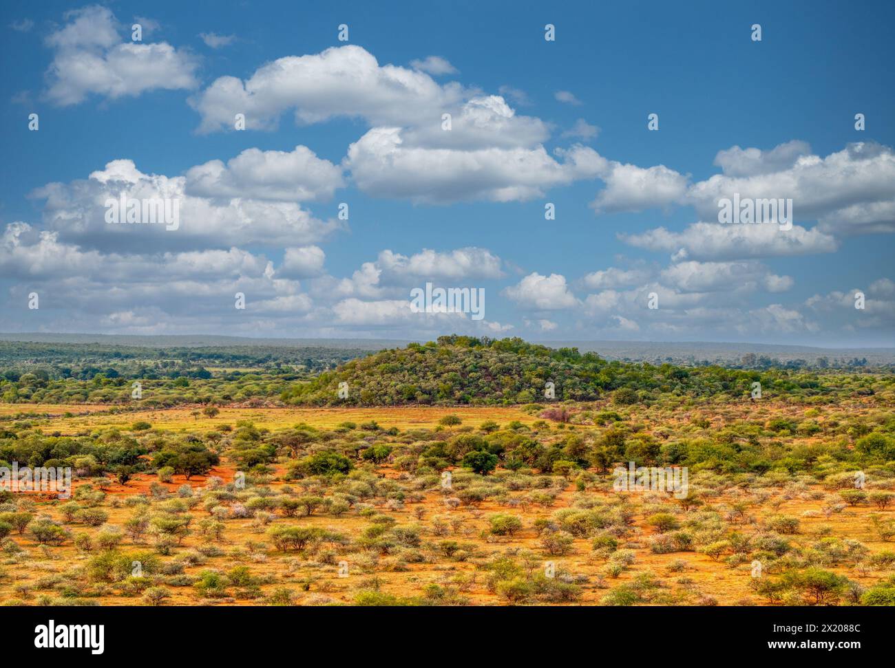 vista aerea del tipico paesaggio africano, collina con boscaglia con alberi di acacia e catena montuosa, Foto Stock