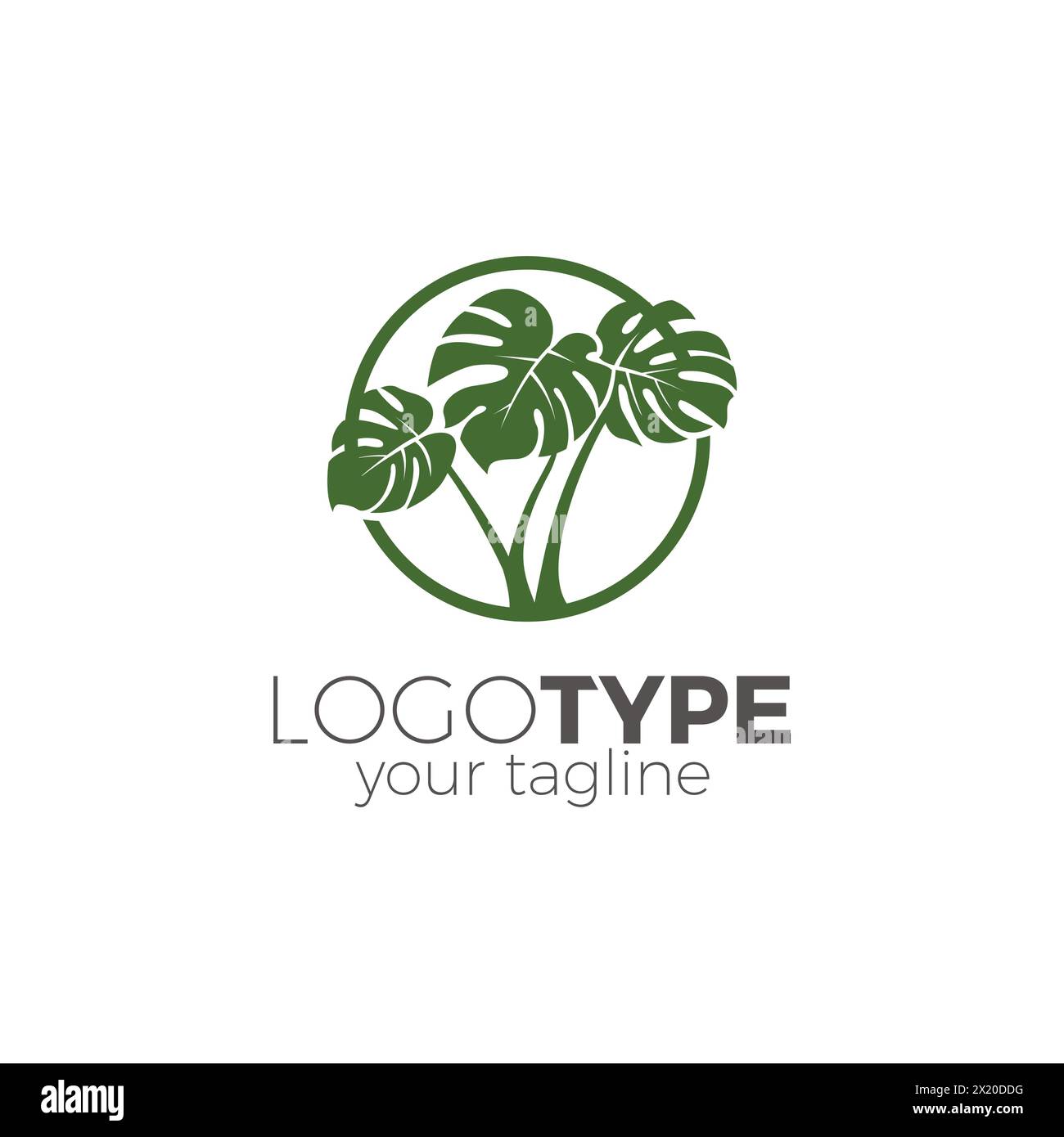 Splendido design con logo Monstera Plant Illustrazione Vettoriale