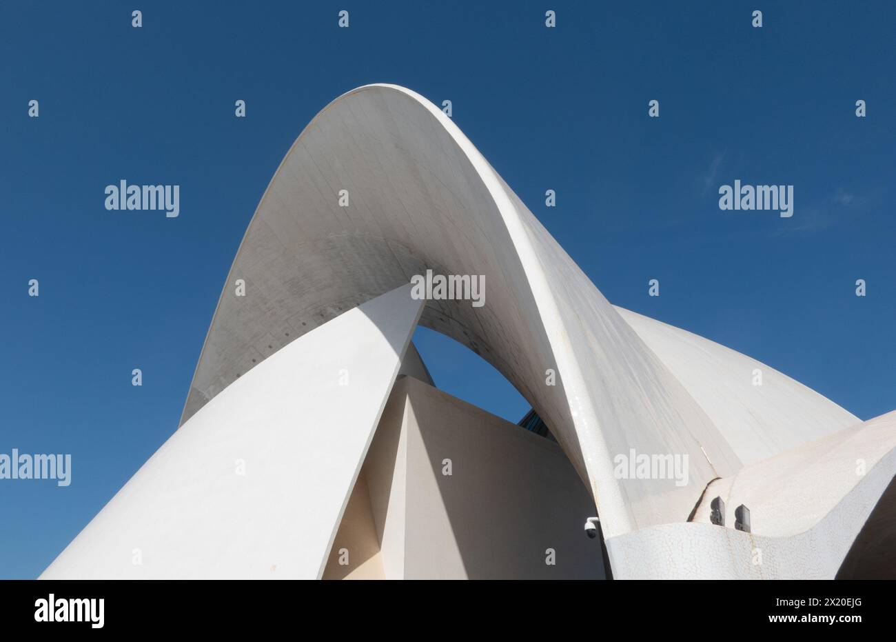 Santa Cruz de Tenerife; dettaglio dell'audace design della sala Congressi e concerti di Santiago Calatrava (nato nel 1951) Tenerife, Isole Canarie, Spagna Foto Stock