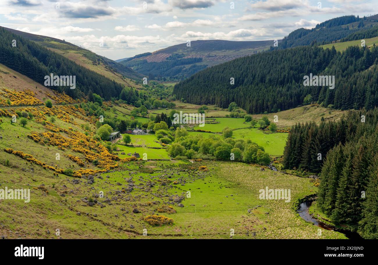 Irlanda, contea di Wicklow, Glenmacnass, valle verde Foto Stock
