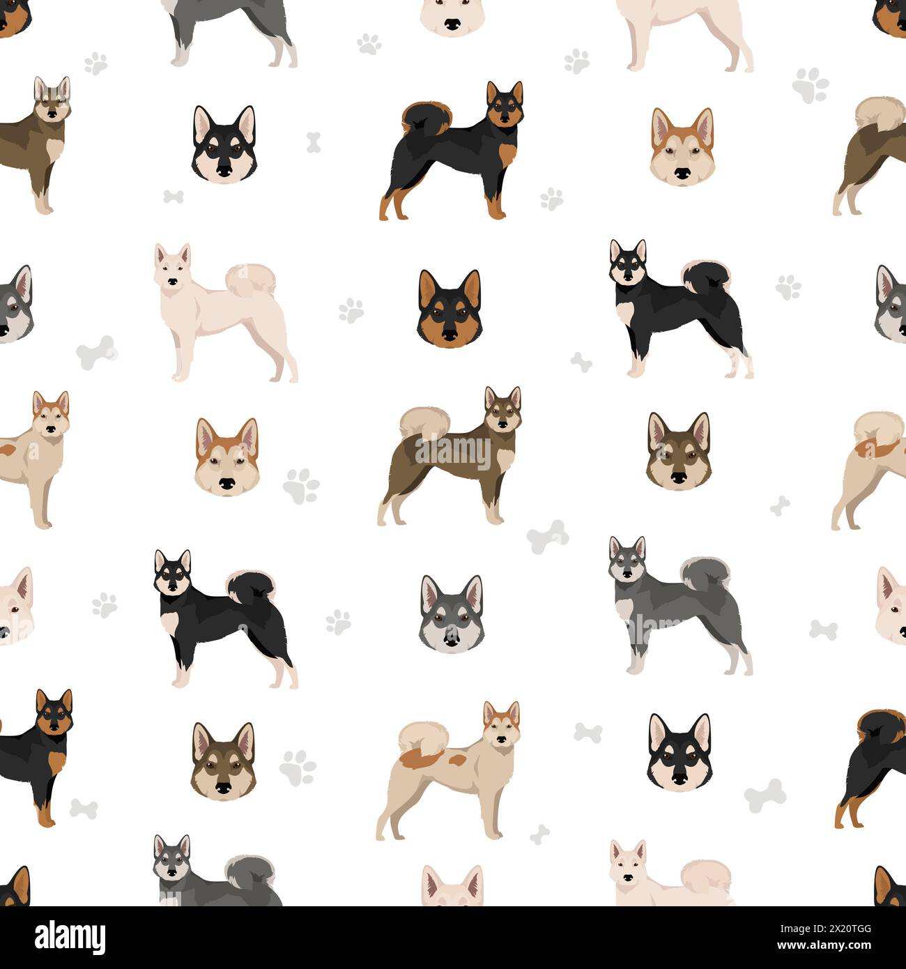 laika siberiana orientale senza cuciture. Set di colori diversi per il rivestimento. Illustrazione vettoriale Illustrazione Vettoriale