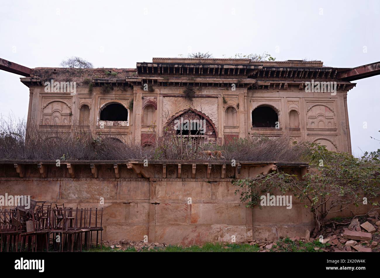 Vista parziale di Gajra Ka Maqbara, Dholpur, Rajasthan, India Foto Stock