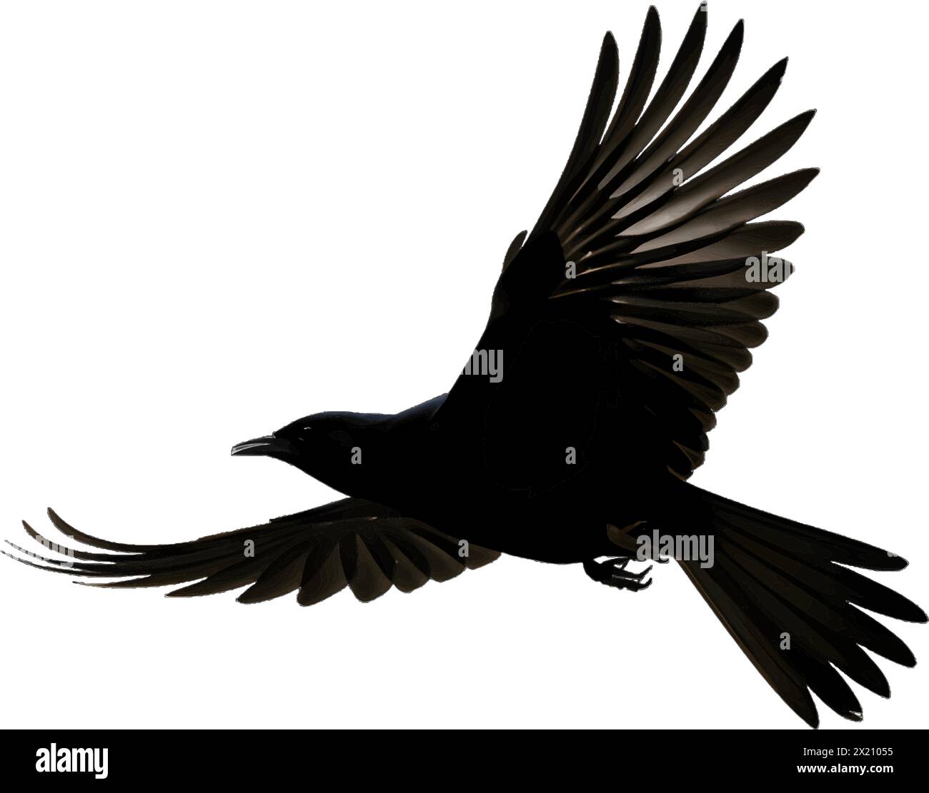 Immagine vettoriale di un uccello in volo, un corvo con silhouette nera su uno sfondo bianco e pulito, che cattura forme aggraziate. Illustrazione Vettoriale