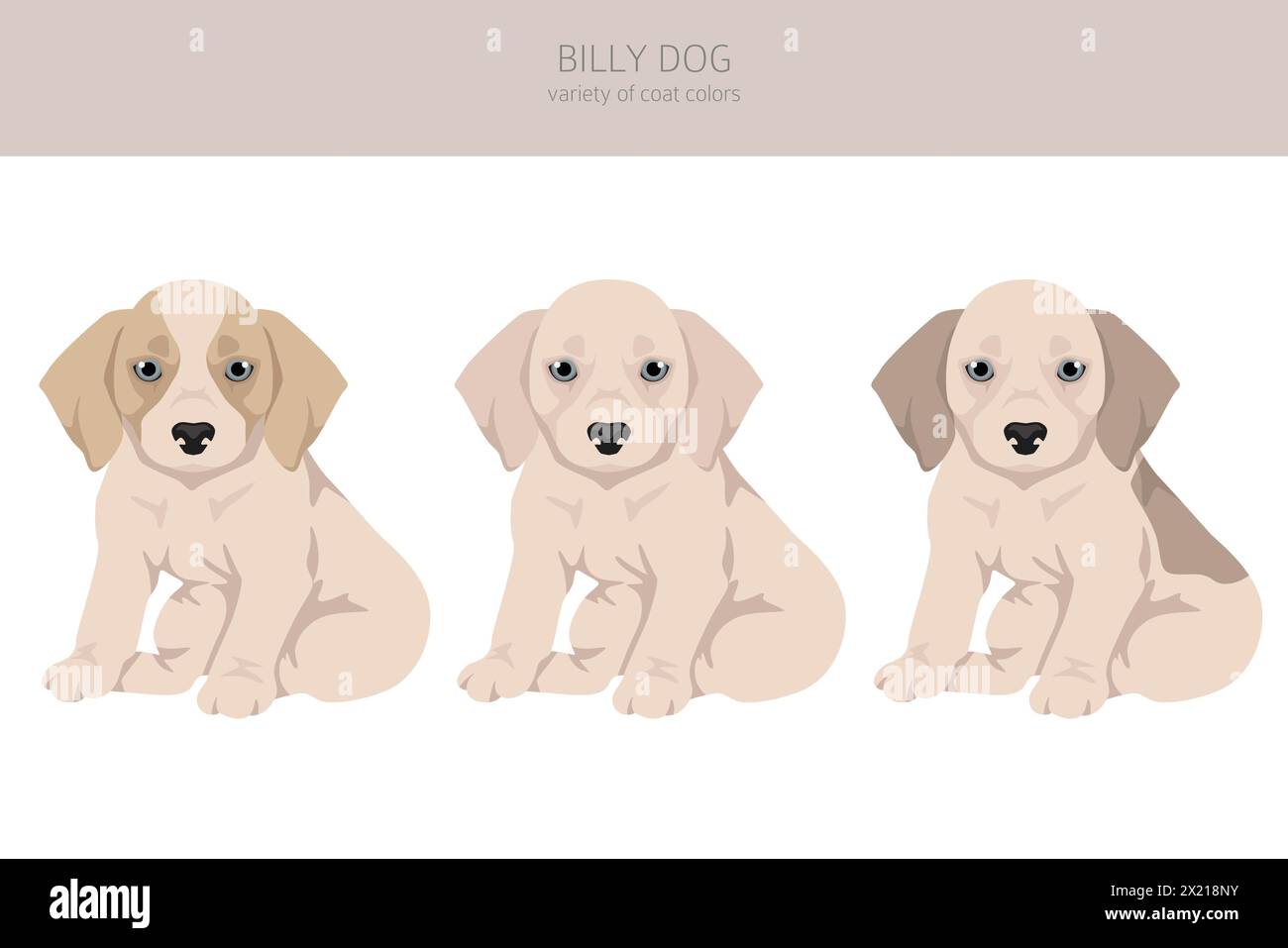Cucciolo di Billy Dog Clipart. Diversi colori di rivestimento e pose. Illustrazione vettoriale Illustrazione Vettoriale