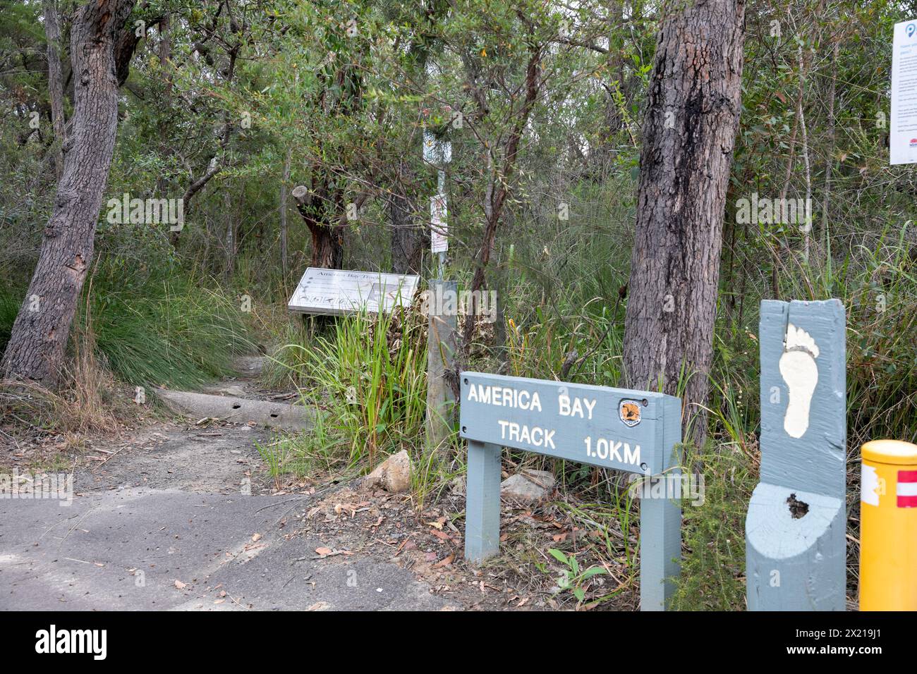 Percorso escursionistico di America Bay a West Head nel parco nazionale Ku-ring-GAI Chase, Sydney, NSW, Australia Foto Stock