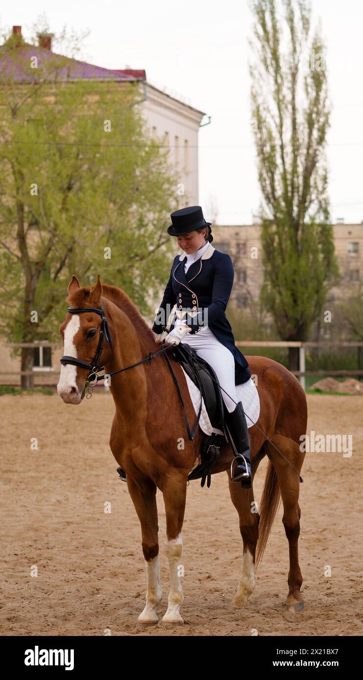 Elegante cavaliere in saluto su un cavallo di castagno contro l'ambiente urbano. Dressage. Fantino femminile in equino uniforme. Sport equestre. Equitazione Foto Stock