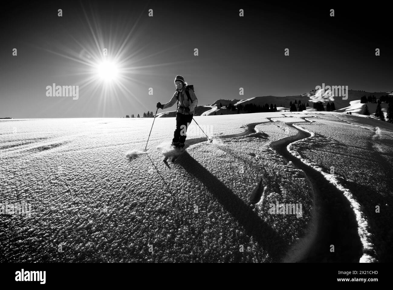 Donna in tour sugli sci sciare sulla neve con hoarfrost, Bleicherhorn, Alpi Allgäu, Svevia, Baviera, Germania Foto Stock