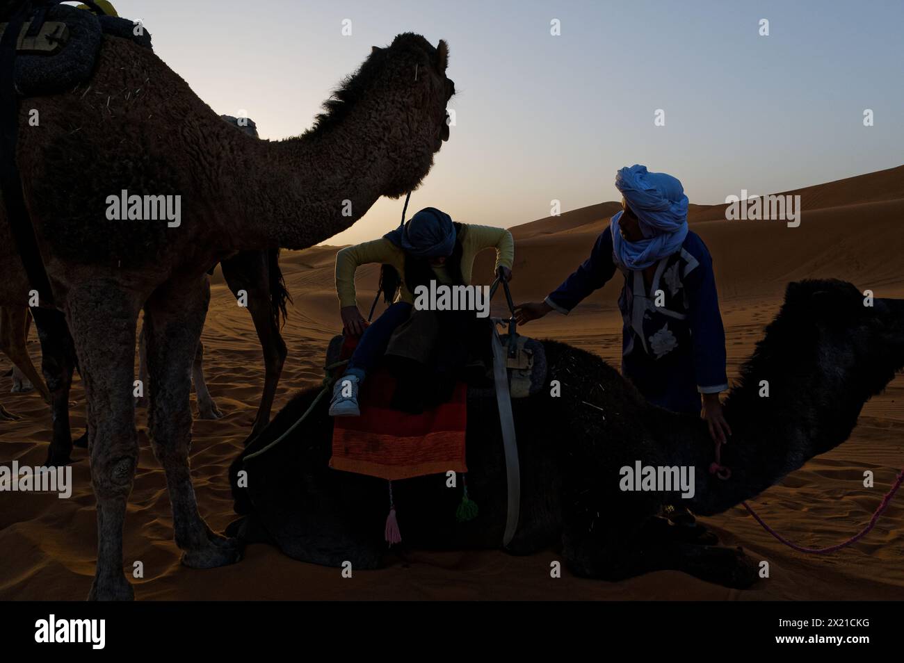 Cammella marocchina in un turbante e vestaglia assiste una giovane turista mentre monta un cammello seduto, mettendo la gamba sull'animale. Foto Stock