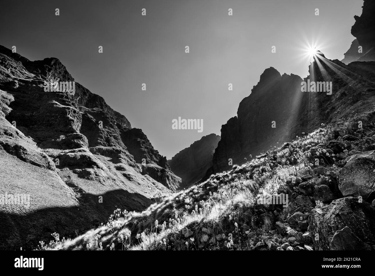Picchi di sole sulle cime rocciose della valle di montagna, Rhino Peak, Garden Castle, Drakensberg, Kwa Zulu Natal, Maloti-Drakensberg, sito patrimonio dell'umanità dell'UNESCO Foto Stock