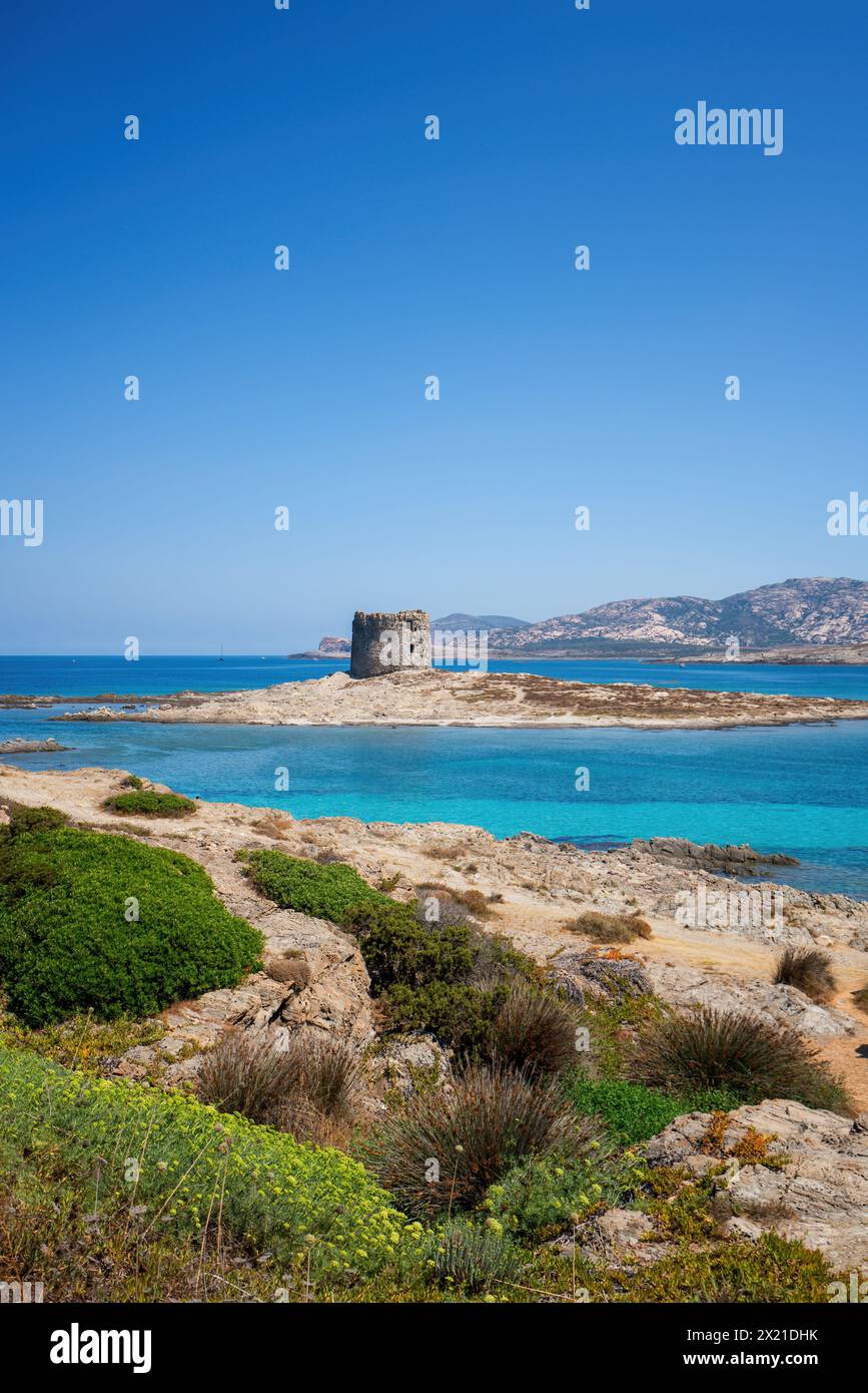 Spiaggia paradisiaca la Pelosa con torre storica e acqua turchese Foto Stock