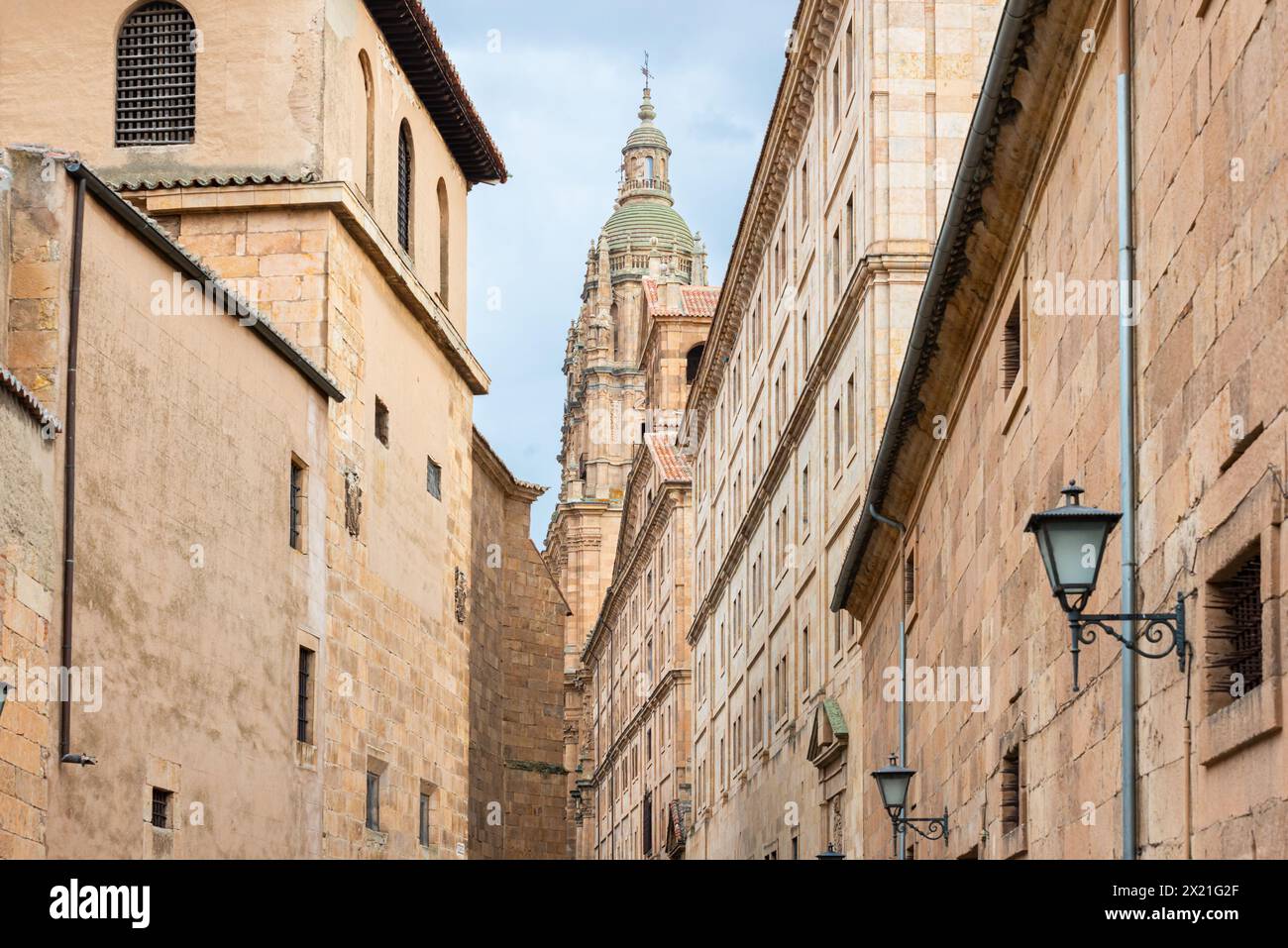Strada aziendale e portale la Clerecía a Salamanca Foto Stock