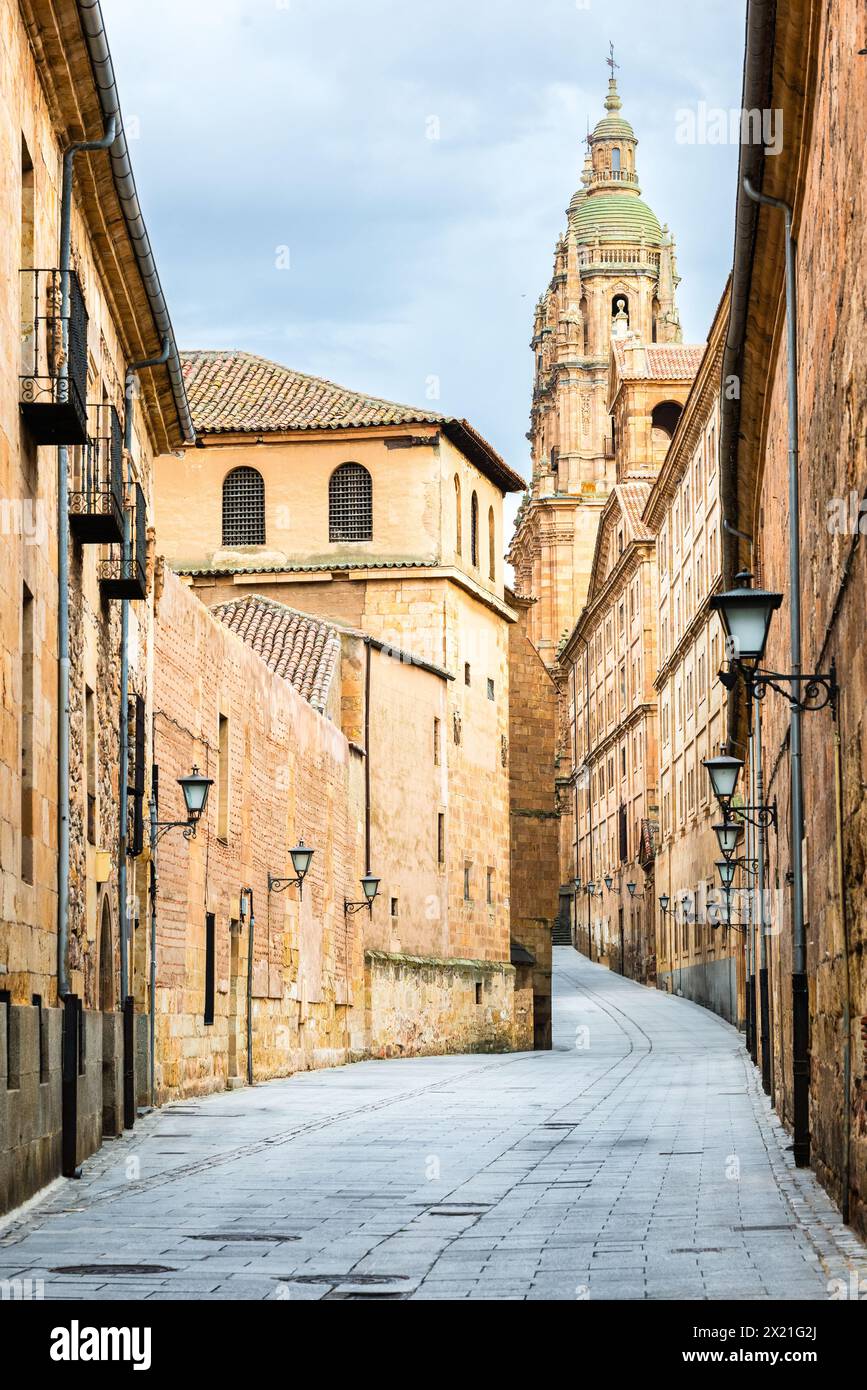 Strada aziendale e portale la Clerecía a Salamanca Foto Stock