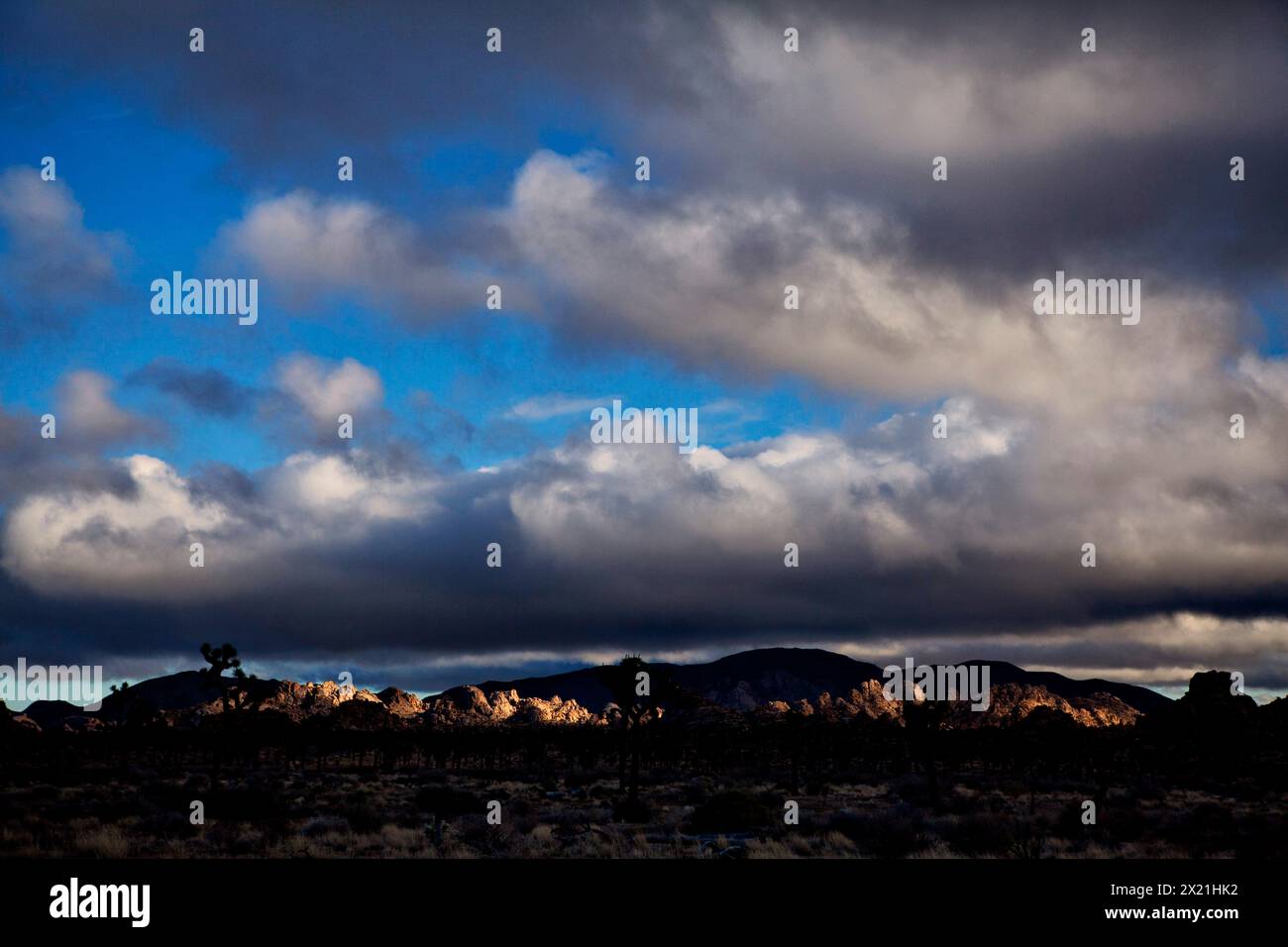 Paesaggio desertico drammatico e tempestoso Foto Stock