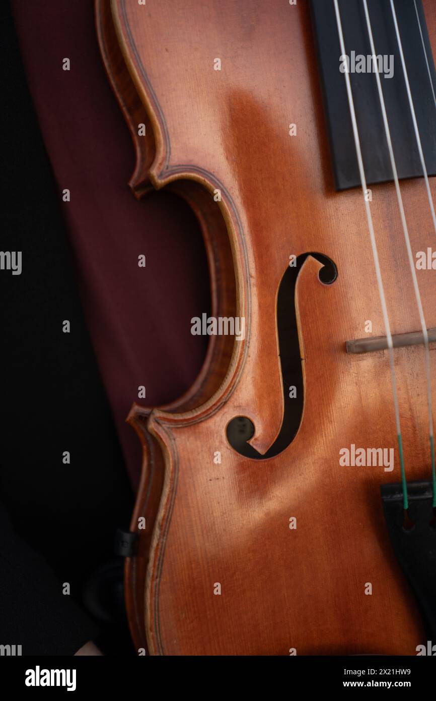 Primo piano di violino splendidamente realizzato Foto Stock