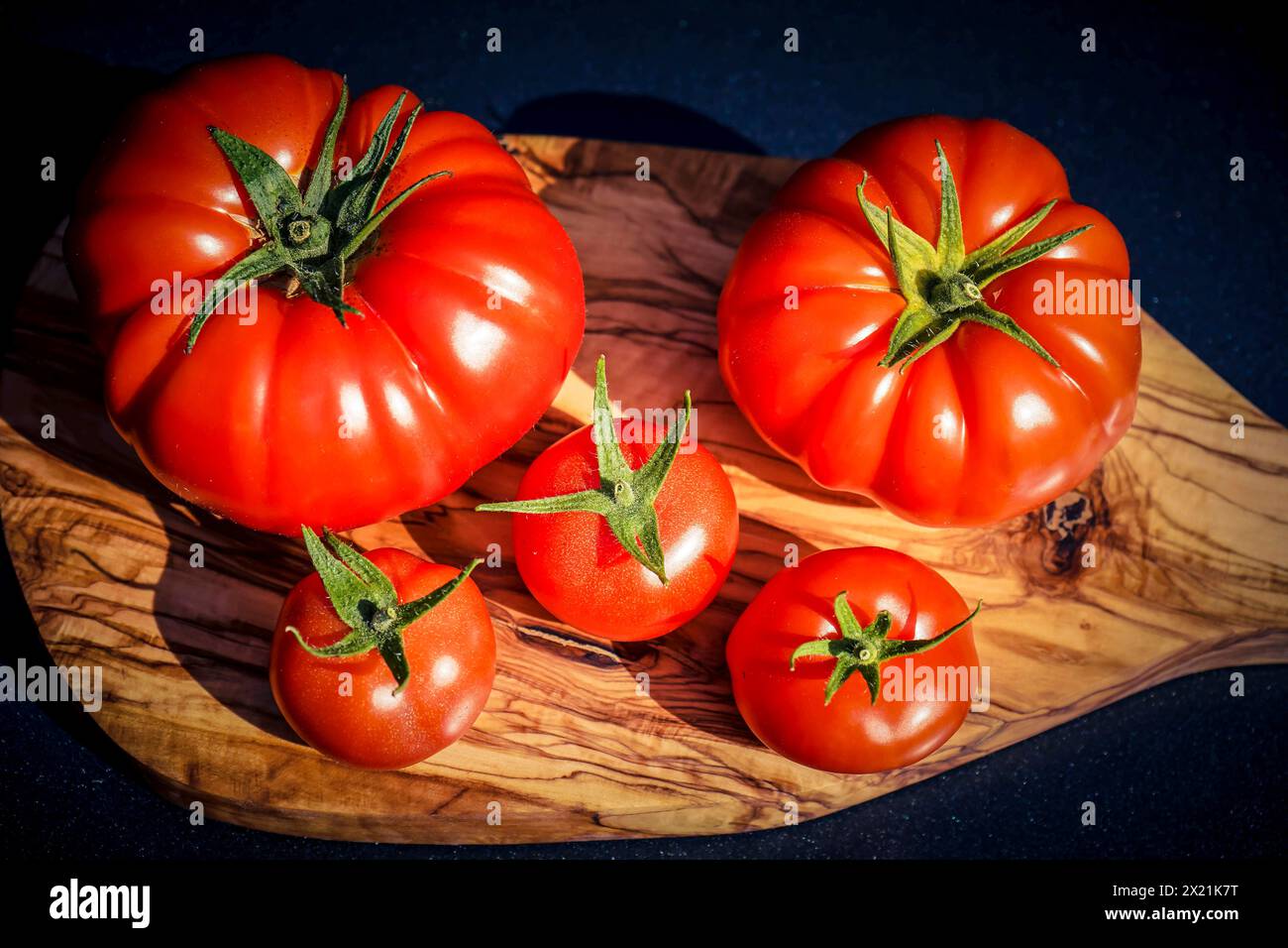 Pomodoro da giardino (Solanum lycopersicum, Lycopersicon esculentum), pomodori di manzo a bordo Foto Stock