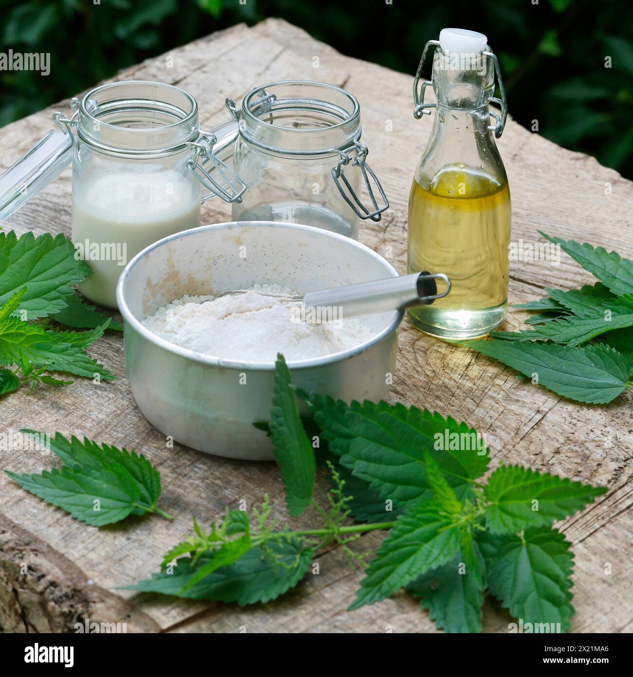 Preparazione di patatine vegane a base vegetale con foglie di ortica, fase 1: Ingredienti: Foglie di ortica, olio e latte d'avena, farina di soia, sale, zucchero, acqua minerale Foto Stock