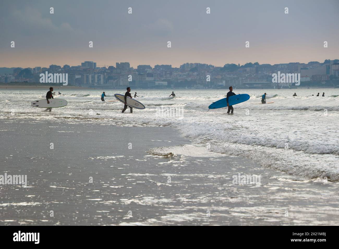 Vista sulla baia di Santander con surfisti che camminano nelle acque poco profonde trasportando tavole da surf nel tardo pomeriggio Ribamontán al Mar Cantabria Spagna Foto Stock