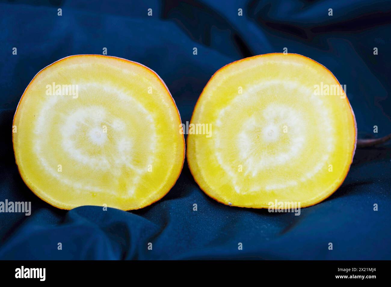 Barbabietola da radice (Beta vulgaris), tagliata attraverso la rapa, varietà gialla Foto Stock