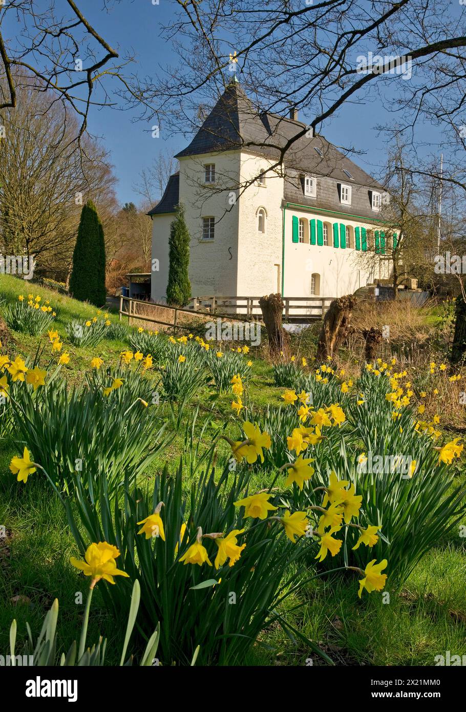 Goldberg Mill in primavera, Germania, Renania settentrionale-Vestfalia, Bergisches Land, Mettmann Foto Stock