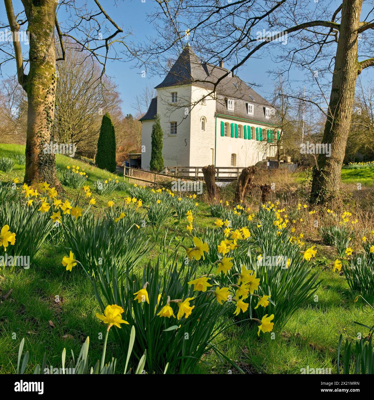 Goldberg Mill in primavera, Germania, Renania settentrionale-Vestfalia, Bergisches Land, Mettmann Foto Stock