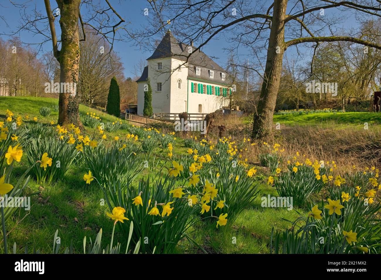 Goldberg Mill in primavera, Germania, Renania settentrionale-Vestfalia, Bergisches Land, Mettmann Foto Stock