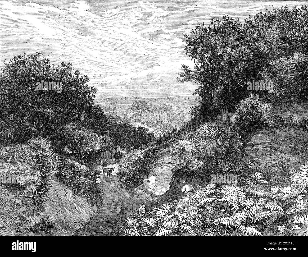 The Turner Gold Medal Prize Landscape, di F. Walton, 1864. Incisione di un dipinto. "La scena... è una di quelle tra le colline del Surrey così ben note ai paesaggisti della metropoli. La vista è presa da una delle cavità sul lato di Leith Hill, guardando verso Aldershott, Guildford è appena distinguibile in lontananza, e all'orizzonte è leggermente tracciabile il particolare contorno della collina e punto di riferimento noto come la schiena di Hog. La strada che scendendo dalla declività della collina dall'immediato primo piano è profondamente tagliata nella Marna del quartiere, le calde sfumature, ducie, dorate Foto Stock