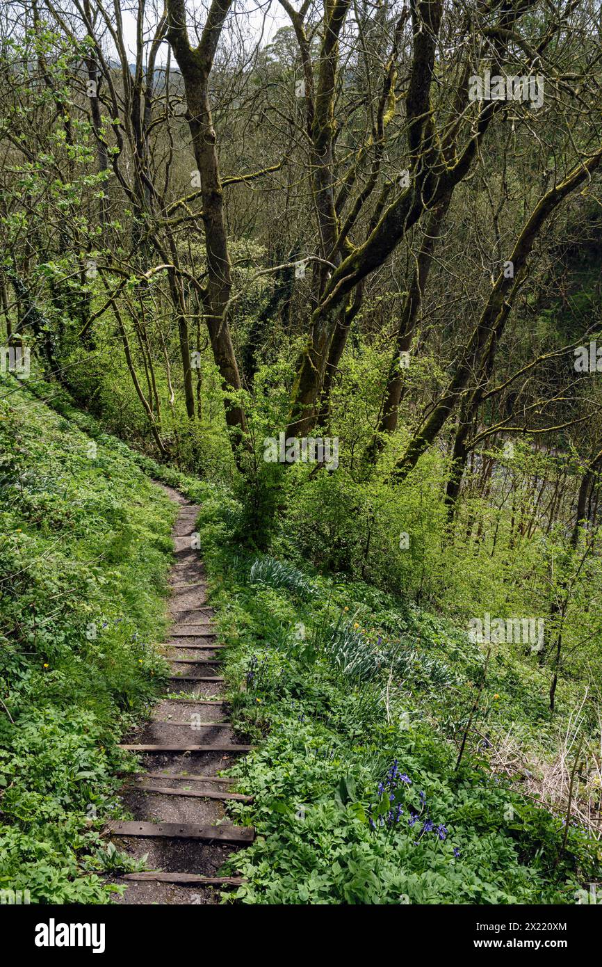 Sentiero che porta a Bradford Dale, Youlgrave, Peak District National Park, Derbyshire Foto Stock