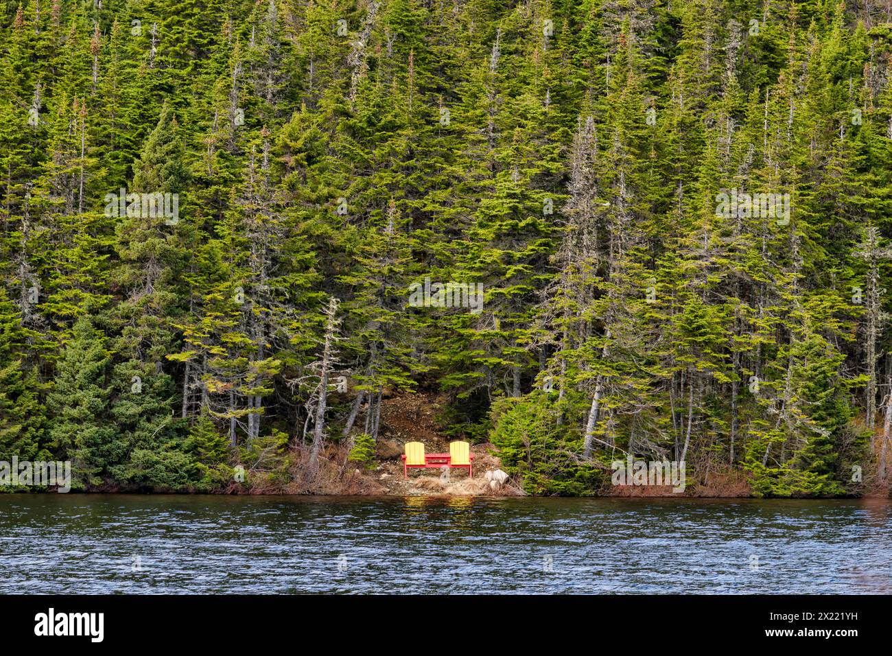 Posti a sedere a Long Pond - Random Island - Terranova Foto Stock