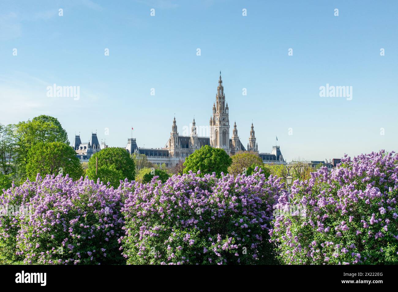 Edificio del Municipio di Vienna in primavera e in estate. Famoso punto di riferimento turistico nel quartiere interno e nell'edificio municipale. Foto Stock