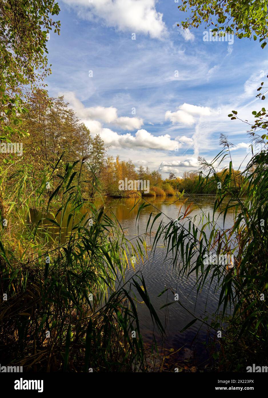 Ex laghi da cava sul meno vicino a Grafenrheinfeld, distretto di Schweinfurt, bassa Franconia, Franconia, Baviera, Germania Foto Stock