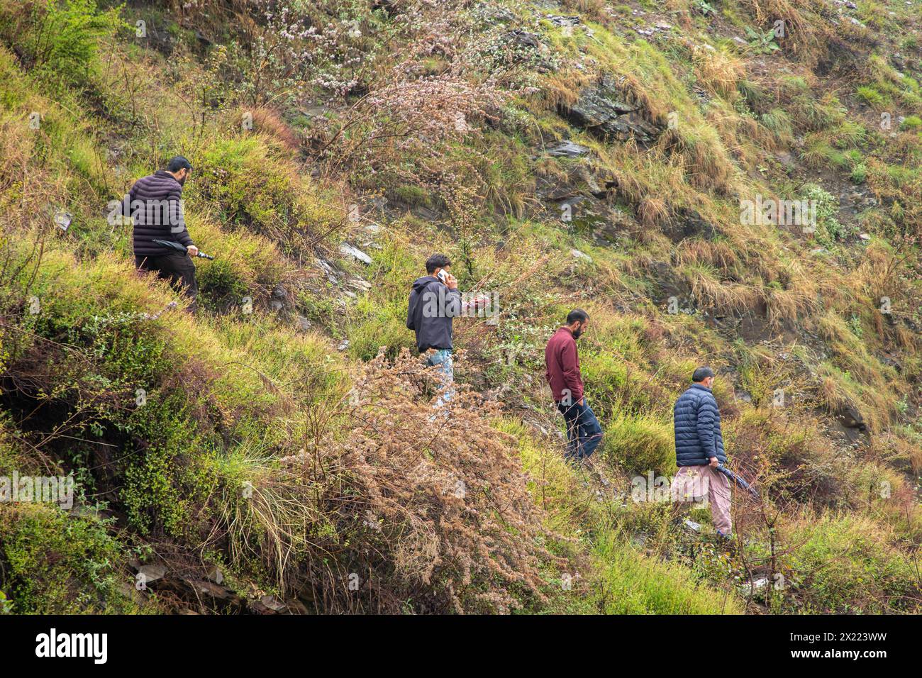 Le persone camminano in discesa verso la loro casa dopo aver votato in un collegio elettorale durante la prima fase del Lok Sabha, o camera bassa, delle elezioni parlamentari indiane in un villaggio collinare a Banihal, un'area nel distretto Ramban del collegio parlamentare di Udhampur. Le elezioni parlamentari Lok Sabha (camera bassa del Parlamento) del 2024 segnano le prime elezioni principali in Jammu e Kashmir da quando nuova Delhi ha revocato l'articolo 370, lo status speciale semi-autonomo della regione, nel 2019. Il voto in India, la più grande democrazia del mondo, dovrebbe essere condotto in sette fasi tra AP Foto Stock