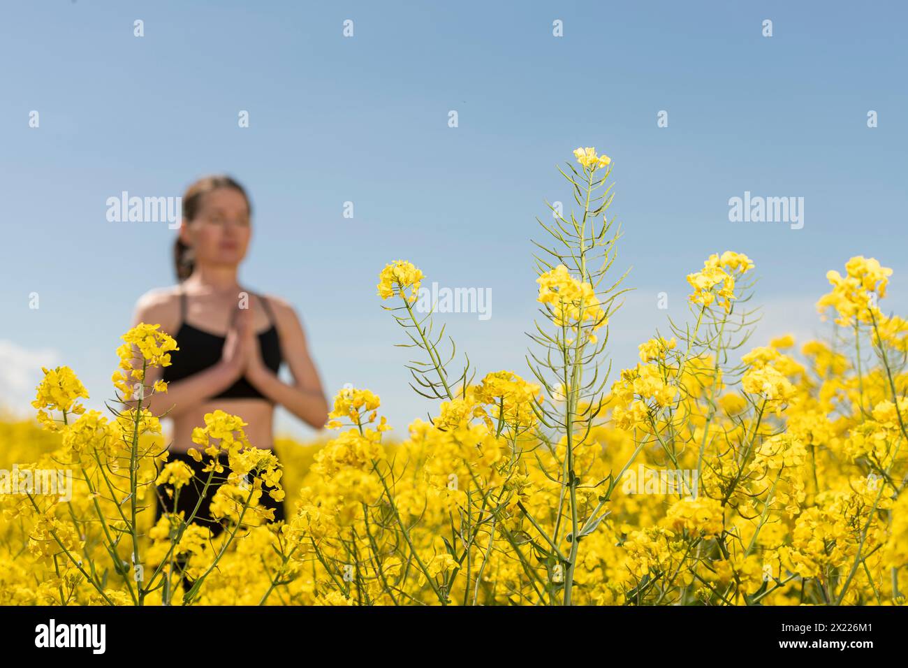 Concentrazione selettiva, donna che medita in un campo di colza giallo, in primavera. elimina lo stress dalla vita di tutti i giorni Foto Stock