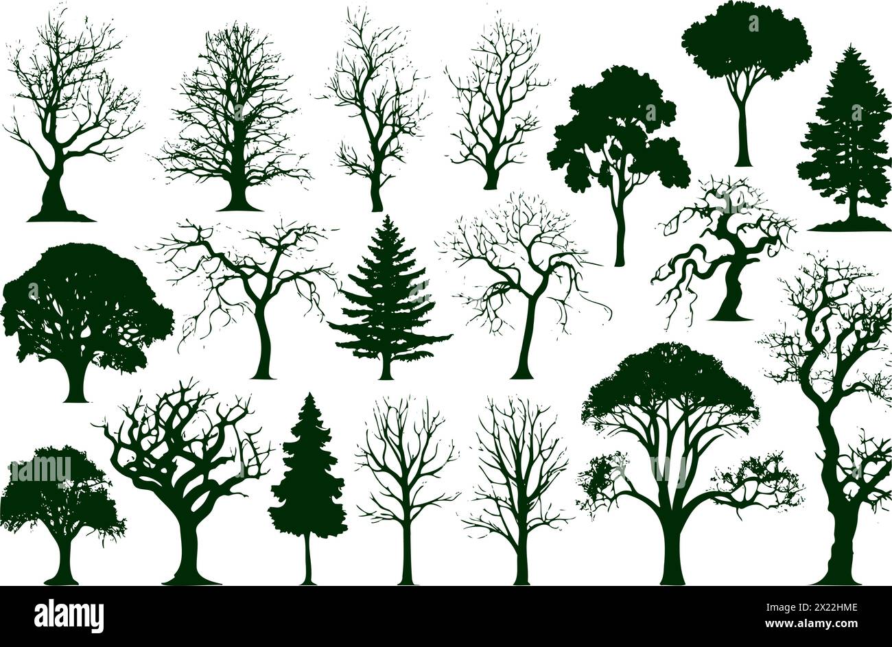 Una raccolta di alberi in varie fasi di crescita, alcuni con foglie e altri senza. Gli alberi sono tutti verdi e sembrano trovarsi in un ambiente boschivo Illustrazione Vettoriale