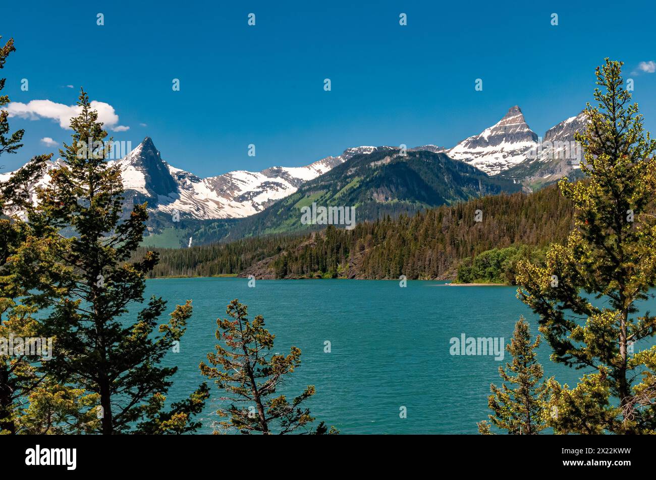 Montagne, laghi e alberi da Sunspot Point nel Glacier National Park Foto Stock