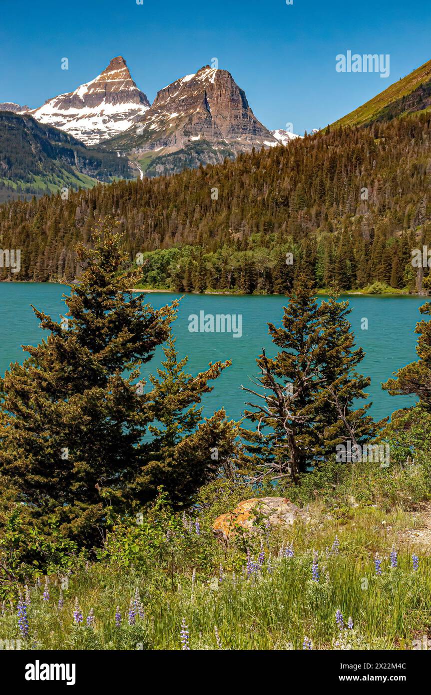 Montagne, laghi e alberi da Sunspot Point nel Glacier National Park Foto Stock