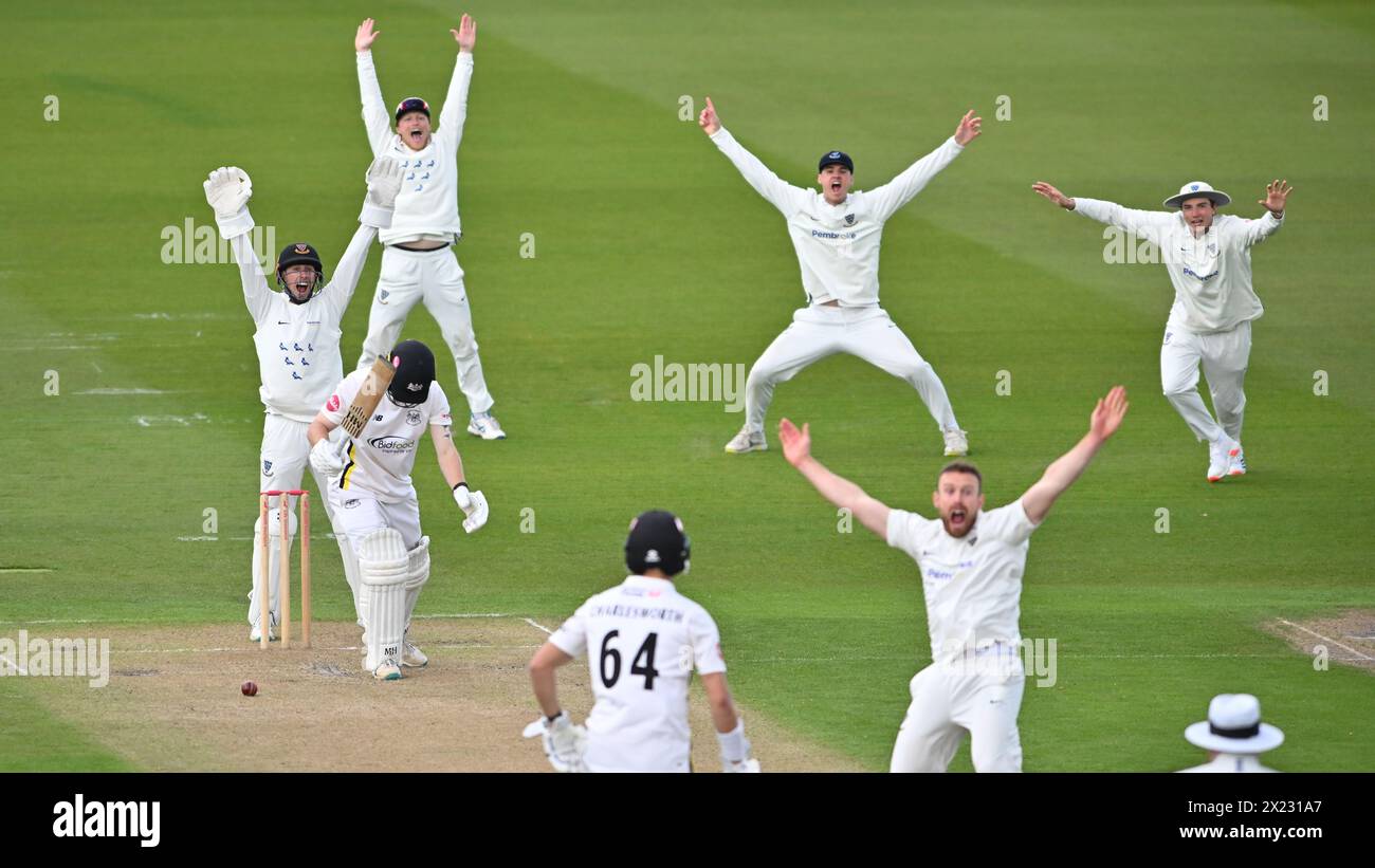 Hove UK 19 aprile 2024 - Un forte appello per il wicket di Miles Hammond ma è stato rifiutato durante la partita di cricket Vitality County Championship League Two al 1st Central County Ground a Hove: Credit Simon Dack /TPI/ Alamy Live News Foto Stock