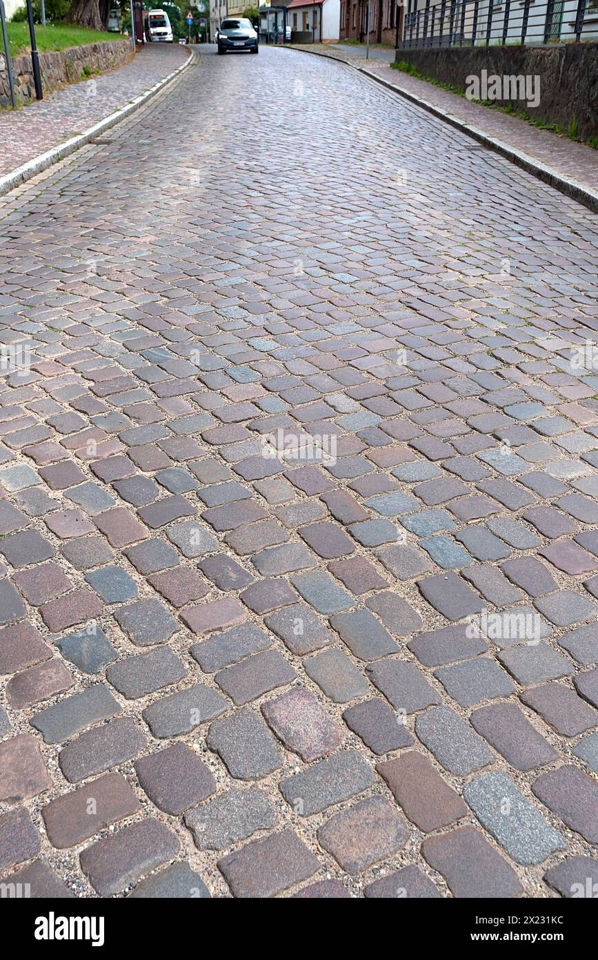 Strada del villaggio pavimentata con pietre di basalto, Meclemburgo-Vorpommern, Germania Foto Stock