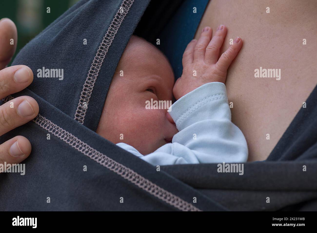 Neonato, 20 giorni, nella fascia di sua madre, Meclemburgo-Vorpommern, Germania Foto Stock