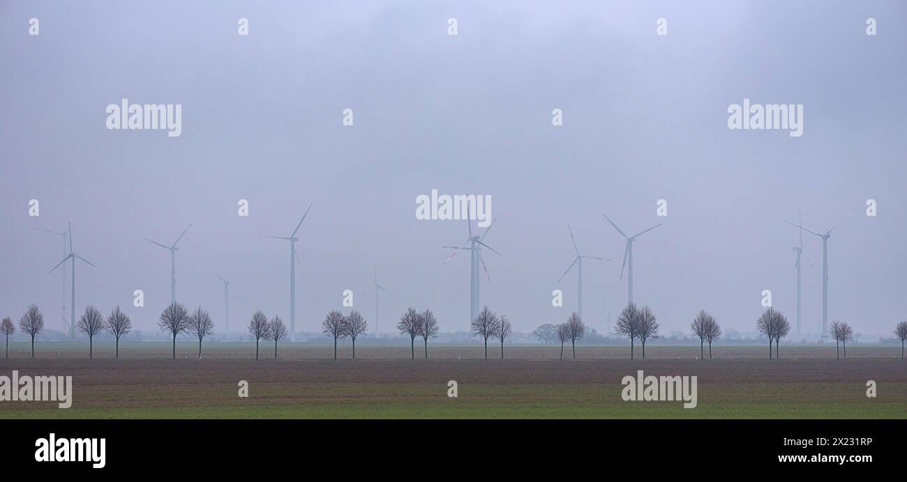 viale dei giovani alberi e turbine eoliche sull'autostrada, Turingia, Germania Foto Stock