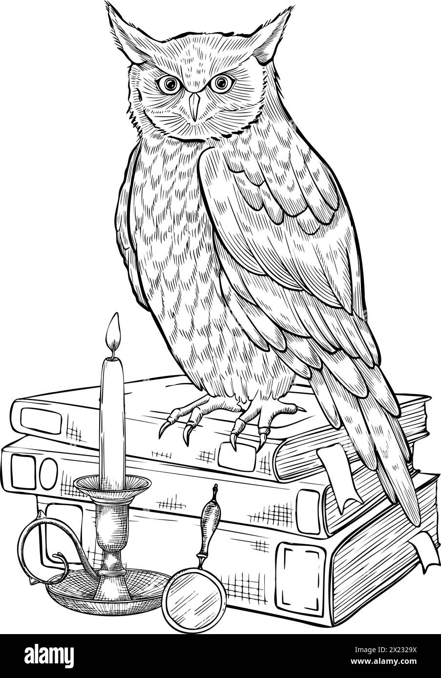Saggia Owl su una pila di libri. Illustrazione vettoriale dell'uccello simbolo di saggezza e conoscenza. Disegno lineare su sfondo isolato. Incisione monocromatica di quaderni scolastici con lume di candela. Illustrazione Vettoriale Saggia Owl su una pila di libri. Illustrazione vettoriale dell'uccello simbolo di saggezza e conoscenza. Disegno lineare su sfondo isolato. Incisione monocromatica di quaderni scolastici con lume di candela. Illustrazione Vettoriale