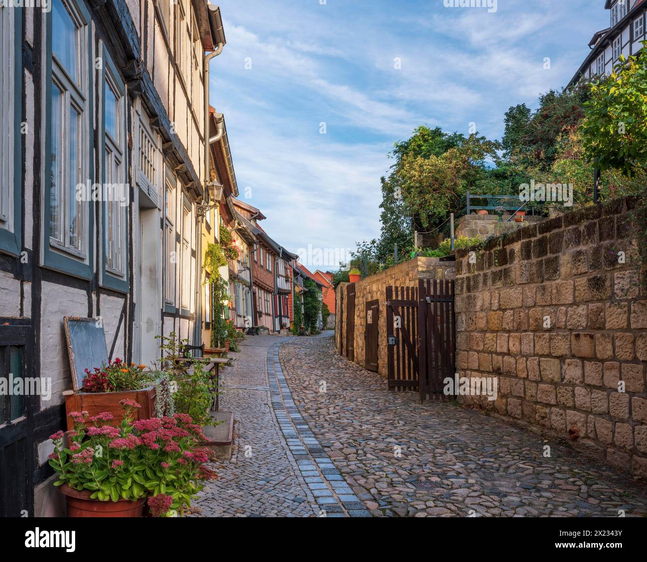 Vicolo stretto con case a graticcio e ciottoli sulla collina del castello nella storica città vecchia, patrimonio dell'umanità dell'UNESCO, Quedlinburg Foto Stock