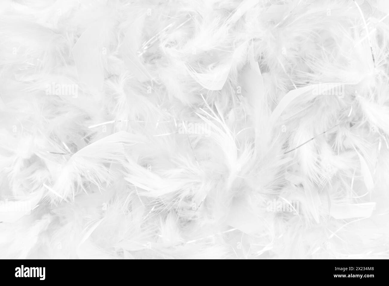 primo piano di uno sfondo dettagliato con piume bianche Foto Stock